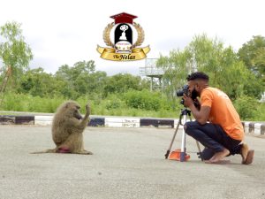 Nelas scholarship.jpg