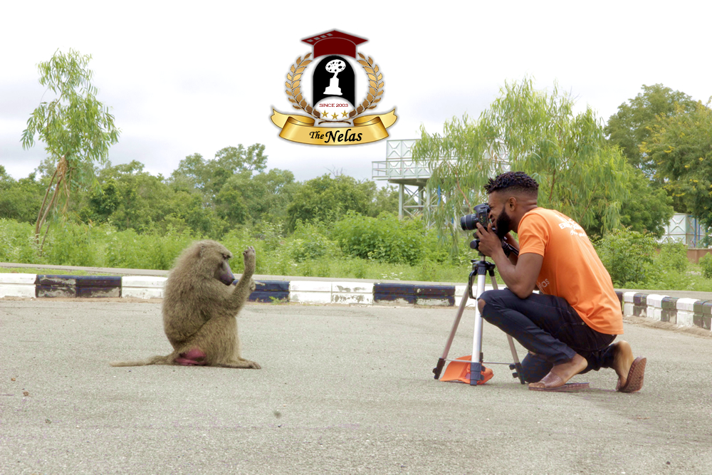 The Nelas Academy of Arts, Media and Television (THE NELAS) is committed to nurturing the next generation of African Cinematic Talent. Under the esteemed leadership of Director Frank Ikegwuonu, we are proud to announce our scholarship programs for aspiring and talented actors and actresses both in Nigeria and internationally.
If you have a passion for acting and a basic understanding of the Nollywood industry, we want to hear from you!